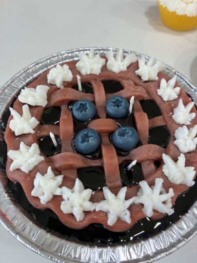 Blueberry Pie Bliss